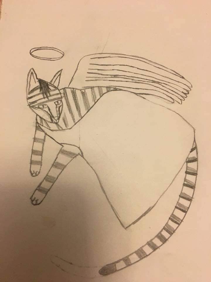 Angel Cat Drawing 2018