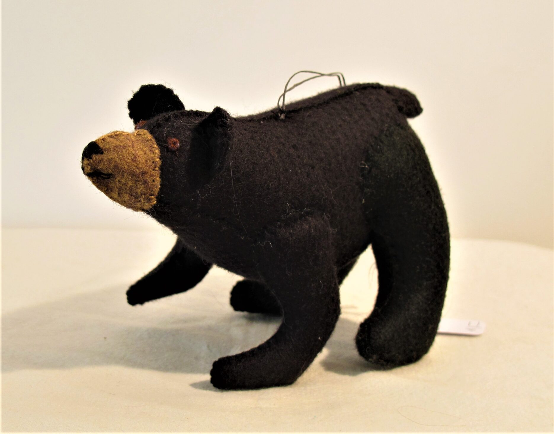 Black Bear 2020