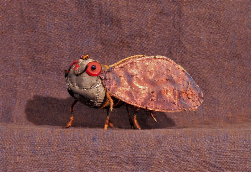 Cicada 2016
