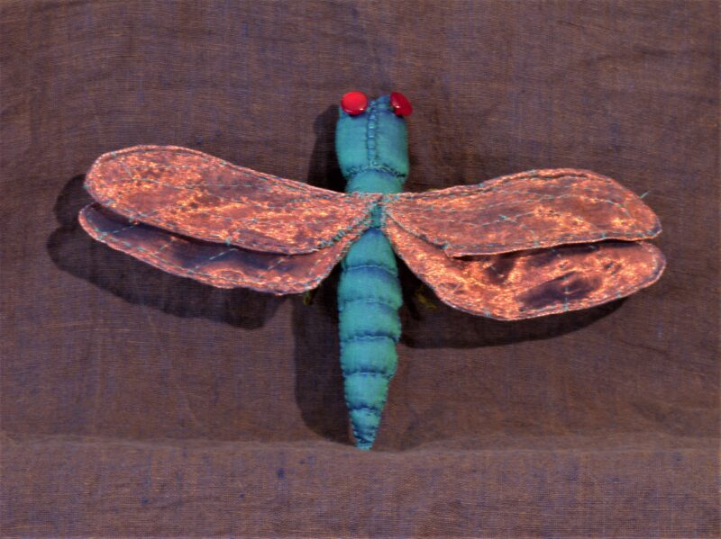 Dragonfly 2016