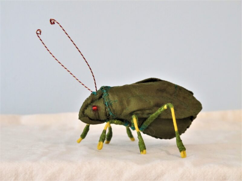 Katydid 2016