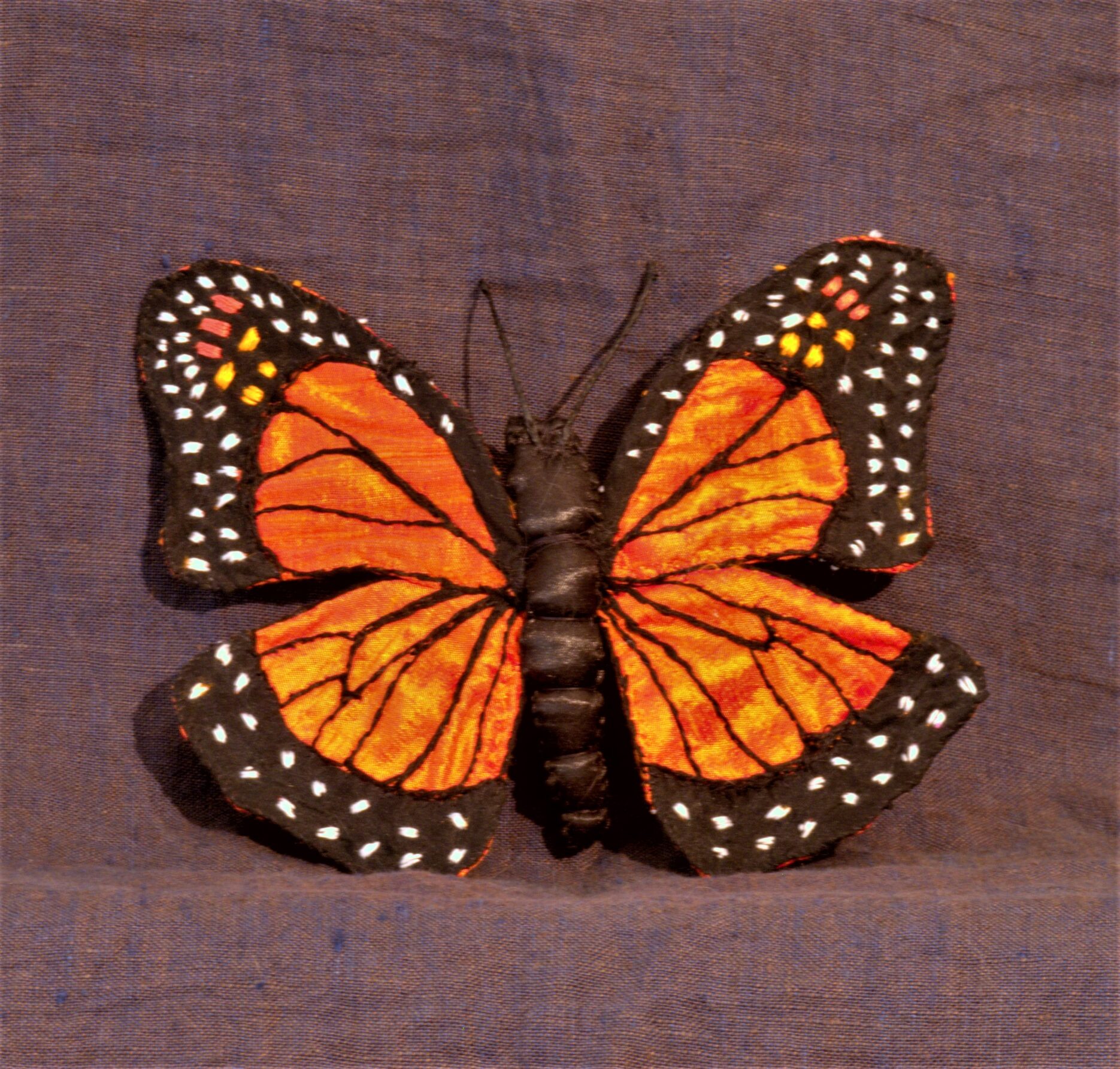 Monarch Butterfly 2016