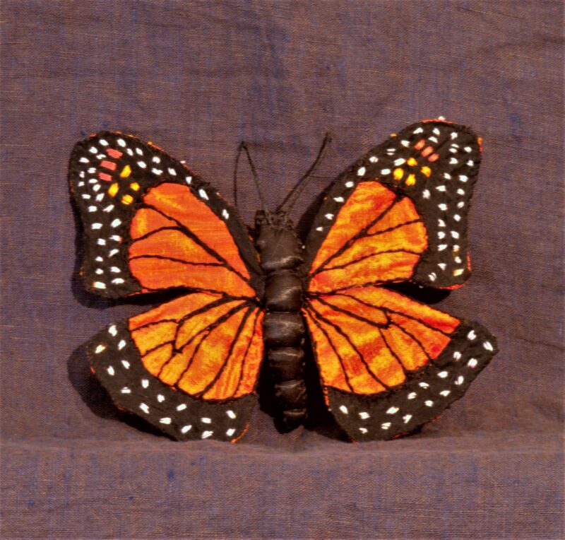 Monarch Butterfly 2016