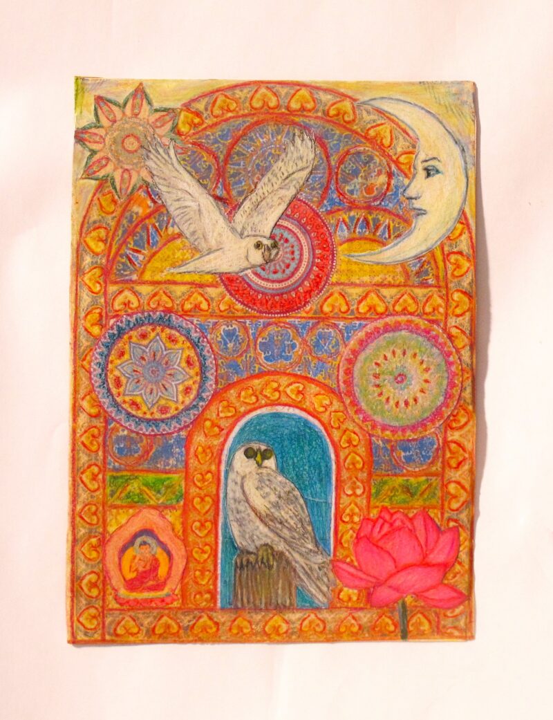 Owls in the Moon Palace