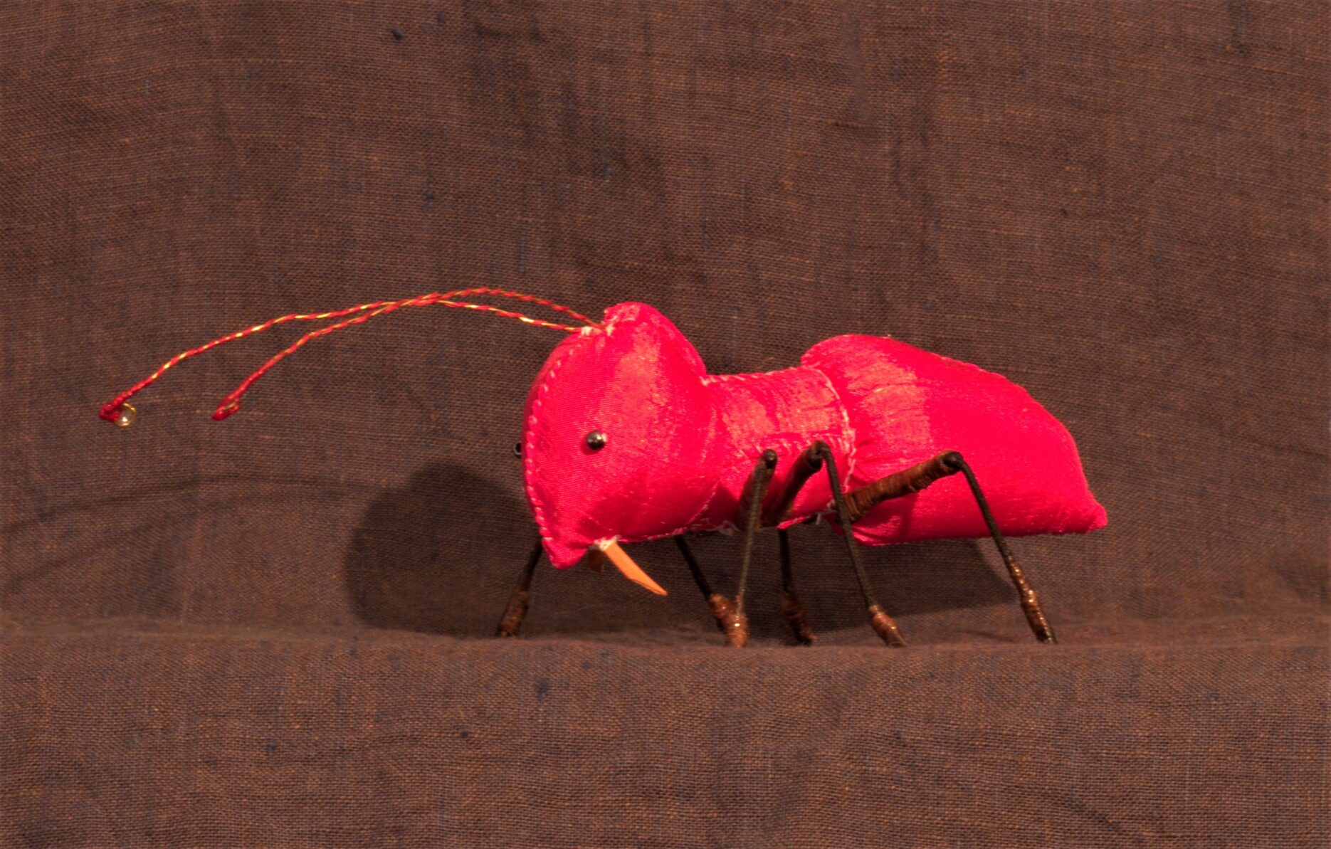 Pink Ant 2016