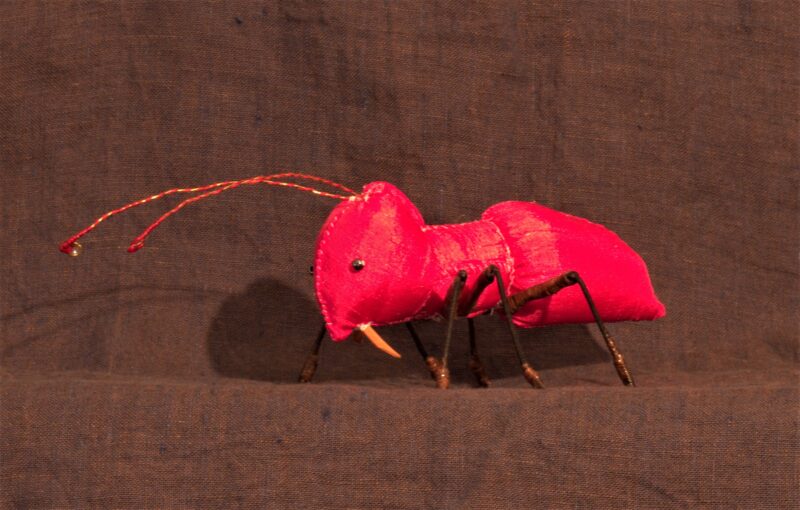 Pink Ant 2016