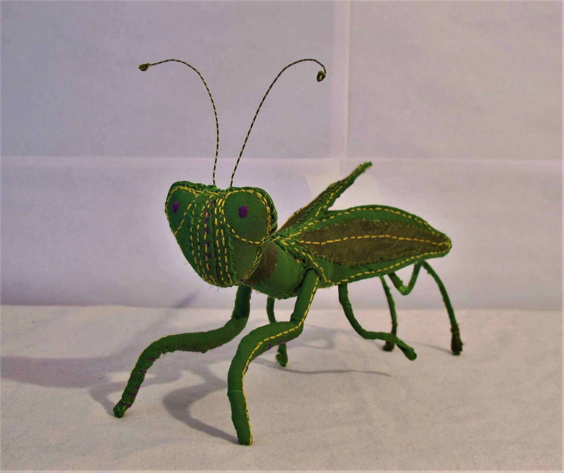 Praying Mantis 2016