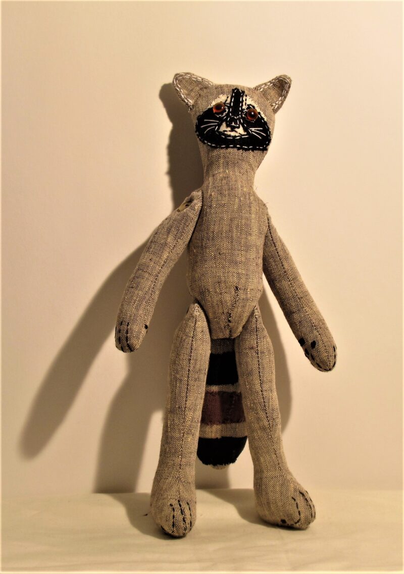 Raccoon 2020