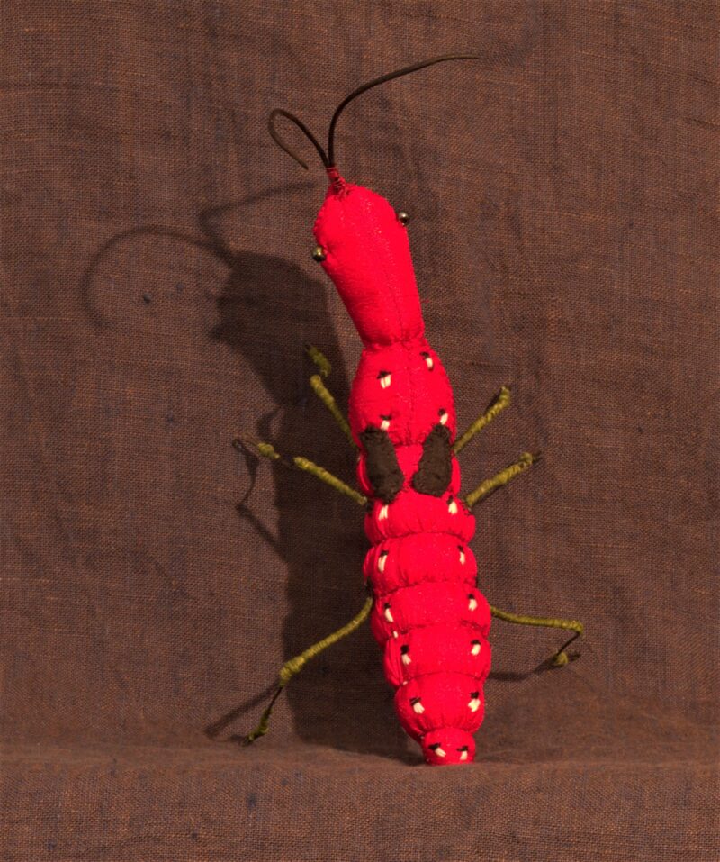 Red Nymph 2016