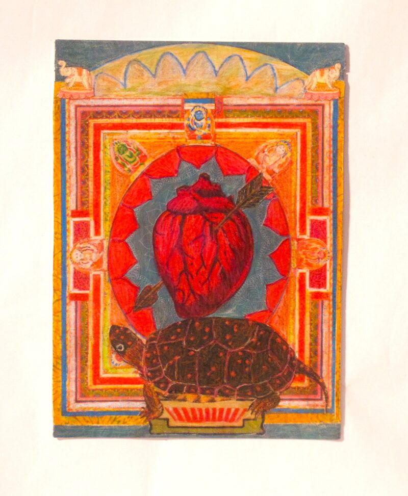 Turtle Heart