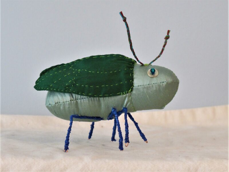 Two Tone Green Bug 2016